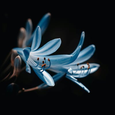 ผู้เล่น ลึกลับ avatar