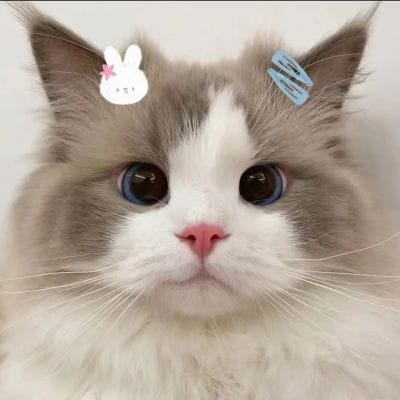 กูรู ไอที avatar